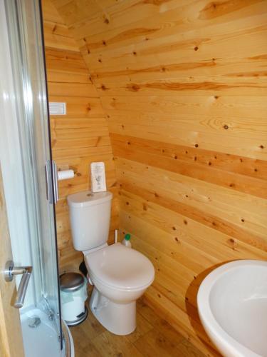 łazienka z toaletą i umywalką w obiekcie The Wee Lodge w mieście Mallaig