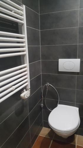 une salle de bain avec toilettes et douche dans l'établissement Stargazer, à Saint-Chamassy