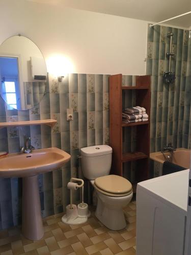 a bathroom with a toilet and a sink and a mirror at Chez Jojo in Monein