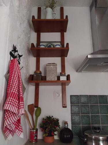 a kitchen with wooden shelves on the wall at Kanto's Guesthouse in Stemnitsa