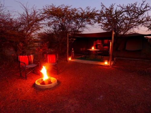 Fotografie z fotogalerie ubytování Thorn Tree Bush Camp v destinaci Klipdrift