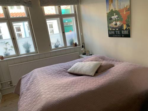 a bedroom with a bed with a purple blanket and windows at Ribe Sønderport Bed & Kitchen in Ribe
