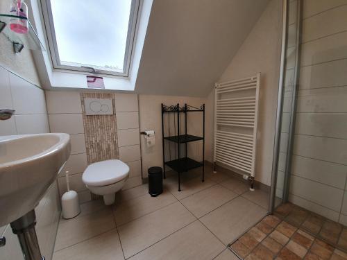 a bathroom with a toilet and a sink and a window at Gästehaus Alte Giesserei in Bendorf