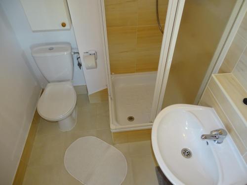 a bathroom with a toilet and a sink and a shower at Noclegi "Marek i Karolina" in Cieszyn