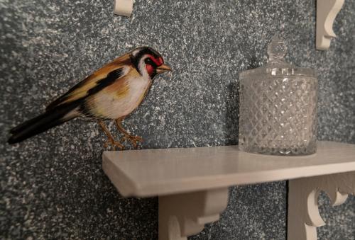 a bird standing on a table next to a bottle at Kanto's Guesthouse in Stemnitsa