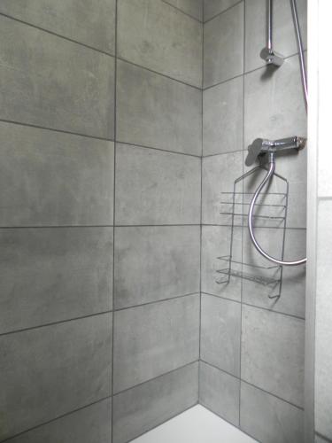 a bathroom with a shower with a shower head at Nid de cigognes in Rosheim