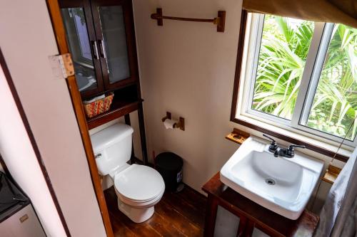 a bathroom with a toilet and a sink at Hummingbirds Cabins in Caye Caulker