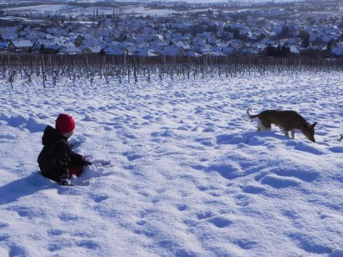 a child sitting in the snow with a dog at Nid de cigognes in Rosheim
