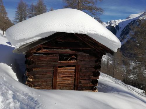 a log cabin with snow on top of it at Zirbenlounge in Pfunds