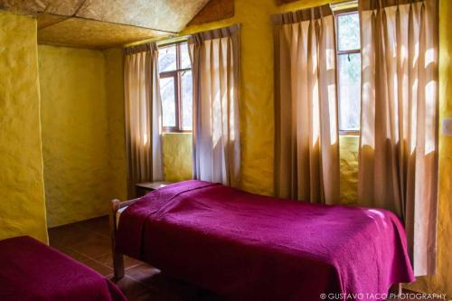 - une chambre avec un lit violet et 2 fenêtres dans l'établissement Paraiso Las Palmeras Lodge, à Cabanaconde