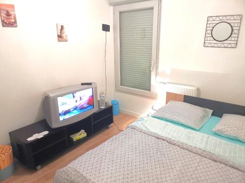 um quarto com 2 camas e uma televisão numa mesa em Private room CDG airport Parc Expo em Villepinte