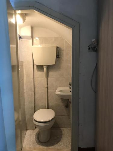 een kleine badkamer met een toilet en een wastafel bij A’ ca’ de Giuli’ in Badalucco