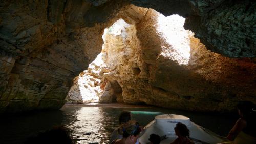 Φυσικό τοπίο κοντά σε αυτό το παραθεριστικό πάρκο