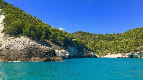 Φυσικό τοπίο κοντά σε αυτό το παραθεριστικό πάρκο