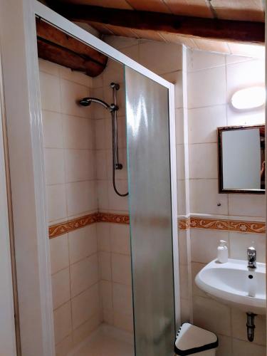 a bathroom with a shower and a sink at Agriturismo Il Gelso in Traversetolo