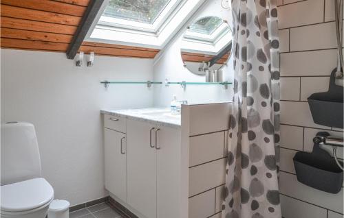 łazienka z toaletą i oknem dachowym w obiekcie Gorgeous Home In Ansager With Kitchen w mieście Ansager