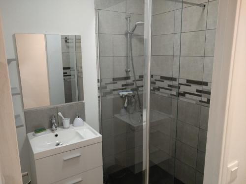 une salle de bain avec douche et lavabo dans l'établissement Nouveau! Appartement 80m2 tout neuf avec 3 belles chambres, à Tours