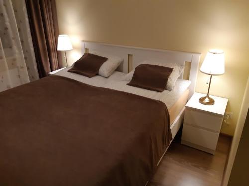 a bedroom with a bed with two pillows and two lamps at Sauliaus apartamentai VIP in Panevėžys