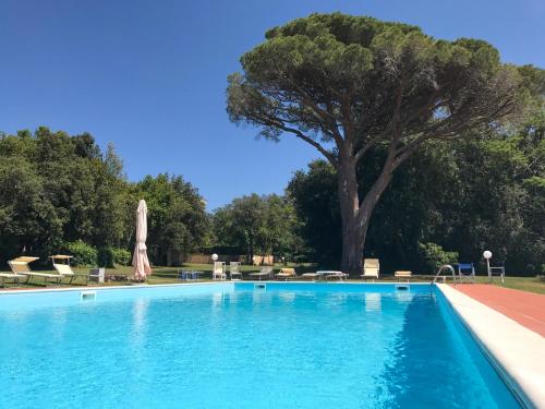 - une piscine avec un arbre et un parasol dans l'établissement La Luna nel bosco, à Livourne