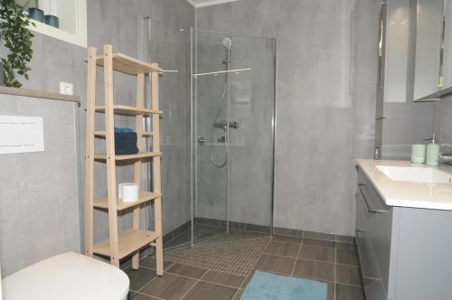 a bathroom with a shower and a toilet and a sink at Romsdalseggen Lodge in Isfjorden