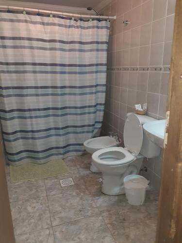 a bathroom with a toilet and a sink and a shower curtain at Departamentos Lugar de Descanso in El Bolsón