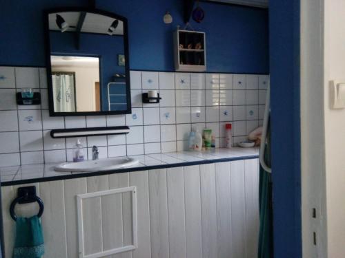 ein Badezimmer mit blauen Wänden, einem Waschbecken und einem Spiegel in der Unterkunft La Villa Jasmin in Les Anses-dʼArlets