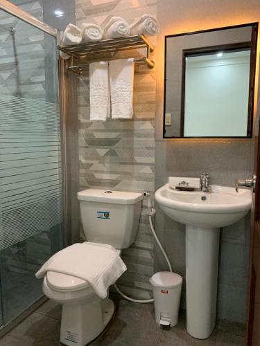 a bathroom with a toilet and a sink at Rustic Crown Hotel in Alaminos