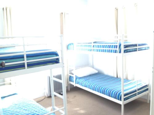 a room with three bunk beds in a room at Latrobe Mersey River Cabin and Caravan Park in Latrobe