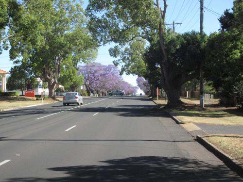 a street with a car driving down a street with trees at Riviera on Ruthven in Toowoomba