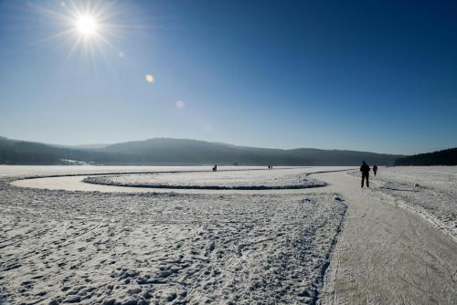 a person walking on a beach in the snow at Apartmán Riviéra Lipno 510/21 in Lipno nad Vltavou