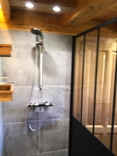 ein Bad mit einer Dusche und einem Waschbecken in der Unterkunft Chalet Colline et Lou in Wintzfelden