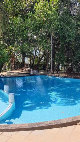 a large blue swimming pool with trees in the background at The Green Gate Resort Mulshi in Pune