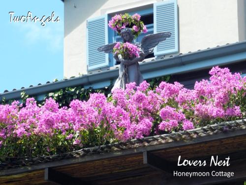 a flower box with a flower arrangement of pink flowers at TwoAngels in Knysna