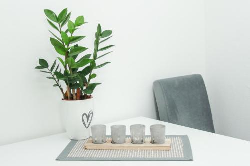 a table with a potted plant and four drinking glasses at Apartmani Bojana in Vrdnik