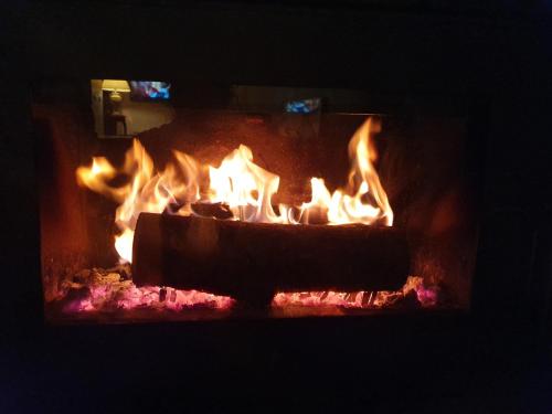 a fireplace filled with fire with flames in it at Salon Boyer in Épernay