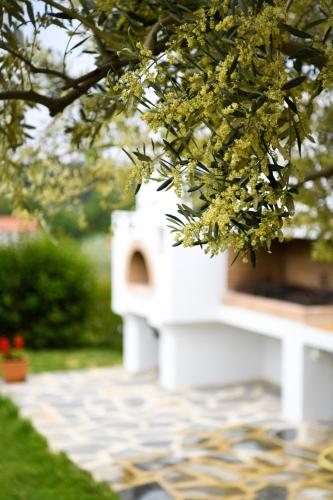 a white bird house sitting next to a tree at Anemi Deluxe Apartment in Kolios