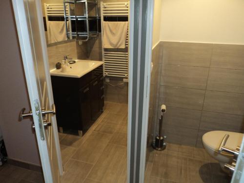 une salle de bain avec un lavabo, une douche et des toilettes dans l'établissement Gite touristique, à Piolenc