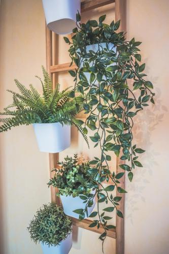Gambar di galeri bagi Gîte chez PAT di Ychoux