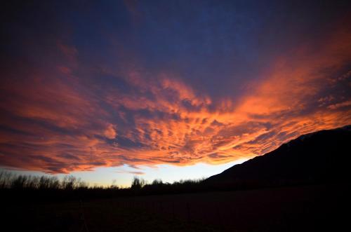a view of a sunset from a field at Koura Bay Golf Resort in Kaikoura