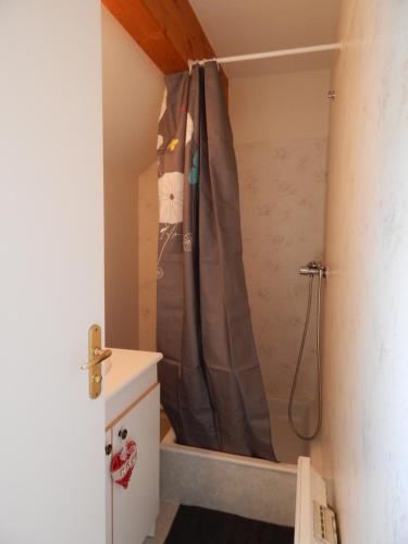 een douche in een badkamer met een douchegordijn bij ROYAL in Germ