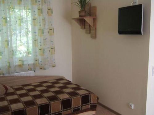 TV a/nebo společenská místnost v ubytování Rugelis