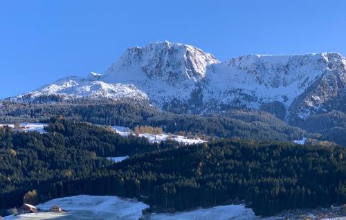 a mountain with snow on top of a forest at Apartment HaNiLe in Sarntal
