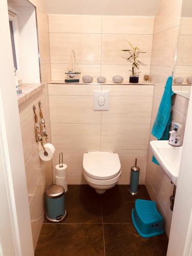 a small bathroom with a toilet and a sink at Hausboot Elandi in Bitterfeld