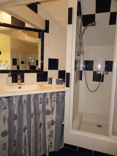 une salle de bain avec un lavabo et une douche dans l'établissement La Petite Varenne, à Turny