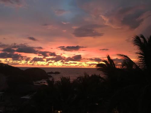 a sunset over the ocean with palm trees in the foreground at Colibri Hotel in Cabo Corrientes