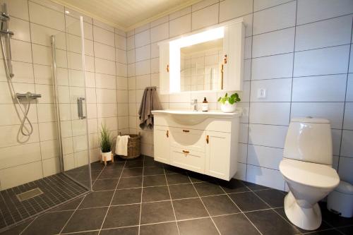 a bathroom with a toilet and a sink and a shower at Bjørkelia Lodge in Vassenden