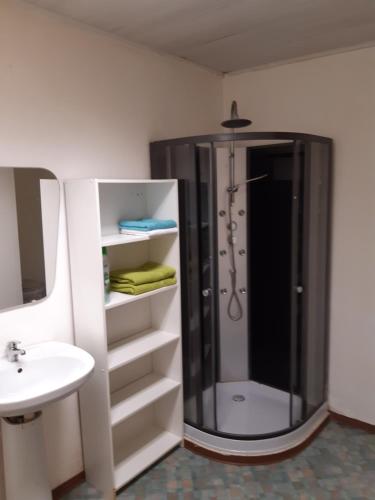 a bathroom with a shower and a sink at casa di Gino in Antwerp