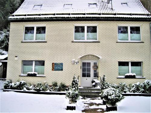 a house with snow on the ground in front of it at Ferienwohnung Am Berggipfel in Wieda