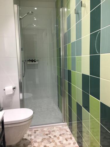 a bathroom with a shower and a toilet at cité impériale ye in Mettet