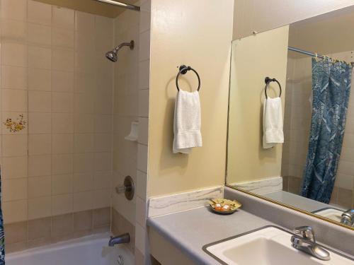 Bagno di Villa Park Motel
